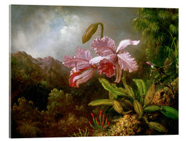 Akryylilasitaulu  Orchids in a Jungle - Martin Johnson Heade
