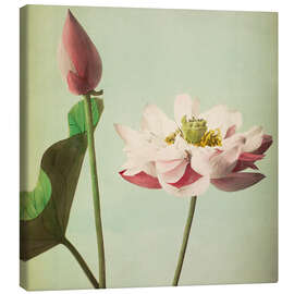 Canvas-taulu  lotus - Ogawa Kazumasa