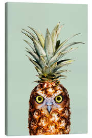 Canvas-taulu  Pineapple Owl - Jonas Loose