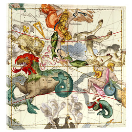 Akryylilasitaulu  Celestial Atlas, plate 2 - Ignace Gaston Pardies
